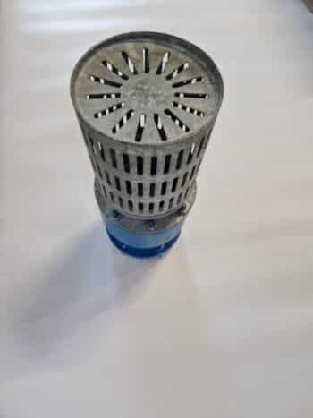 Der Landinisauger 100 mit Ventil ist ein zylindrisches Wasserpumpensieb aus Metall mit geschlitzten Öffnungen oben, das an einer blauen Basis befestigt und auf einer weißen Oberfläche abgebildet ist.